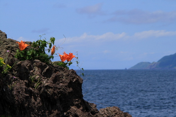 yasou 12 6-9.JPG