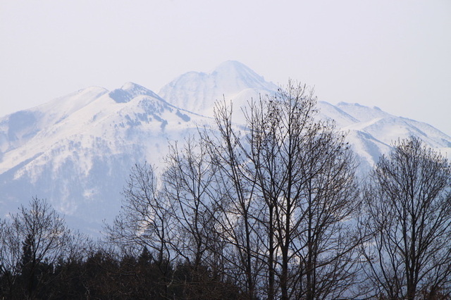 fuji 25 3-2.JPG