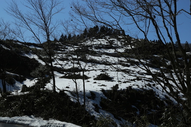 sonota 25 3-2.JPG